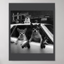 Search for funny chihuahua posters Dog
