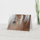 Recherche de haflinger vœux cartes Palomino