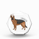 Search for german shepherd photo display Alsatian
