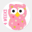 Search for colourful owl stickers Pink