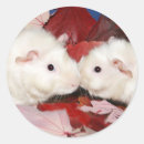 Recherche de cobaye autocollants Animal familier