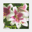 Recherche de de lis refrigérateur magnets Floral