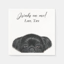Recherche de shih tzu serviettes Cocktail