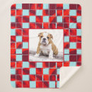 Search for bulldog blankets Puppy