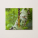 Search for creative puzzles Funny