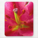 Recherche de étamine tapis souris Floral
