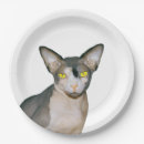 Recherche de minou de ninja Félin