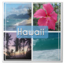 Search for seascape tiles Palm trees