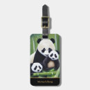 Search for panda love accessories Wildlife