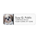 Search for dachshund puppy return address labels Funny