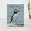 Search for puffin birthday cards Bird