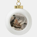 Search for rhino ornaments Nature