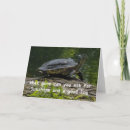 Search for turtle birthday cards Summer