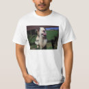 Recherche de effrontée tshirts Pour tous