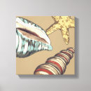 Search for seashells sea shells canvas prints Nature