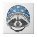 Search for raccoon tiles Forest
