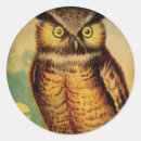 Search for round owl stickers Retro