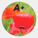 Recherche de coquelicots autocollants Pour enfants