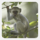 Search for gestures stickers Gesturing