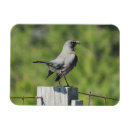 Recherche de rouge gorge magnets Pour elle