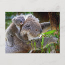 Search for aussie postcards Nature