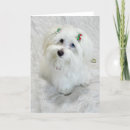 Search for puppy 1st christmas cards Cute