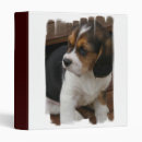 Search for pups binders Canine
