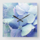 Recherche de hortensias horloges Botanique