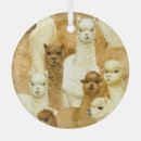 Search for alpaca ornaments Background