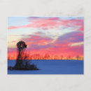 Recherche de rose vents cartes postales Pour elle