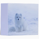 Search for cold binders Nature