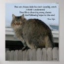 Search for chase is on the posters Dreams