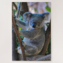 Search for cuddly puzzles Cute