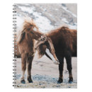 Recherche de deux chevaux Faune
