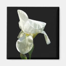 Search for white iris magnets Floral