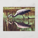 Recherche de grenouille bleue cartes postales Faune