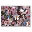 Search for peach branch postcards Floral
