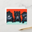 Recherche de chance cartes postales Chat