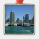 Search for san diego ornaments Skyline
