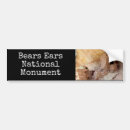 Recherche de ours voiture autocollants National