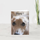 Recherche de chien désolé vœux cartes Chiot