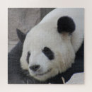 Recherche de wwf Animaux