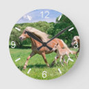 Recherche de poulain horloges Mignon