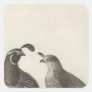 Search for partridge stickers Illustration