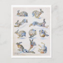 Search for hare paintings postcards Animal