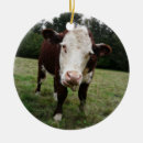 Search for stick ornaments Animal