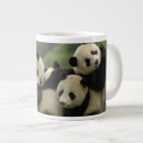 Recherche de un panda géant tasses Animal