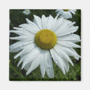 Search for raindrop magnets Floral