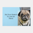 Search for pug garden outdoor Cute