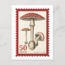 Recherche de timbre cartes postales Courrier